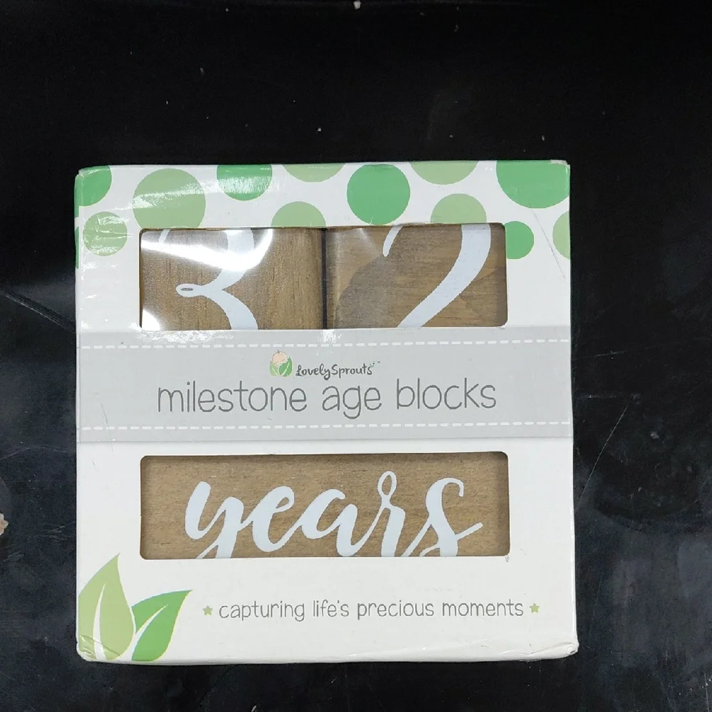 LovelySprouts Milestone Age Blocks
